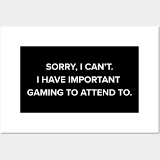 Funny Gamer Videogame Player Gaming Posters and Art